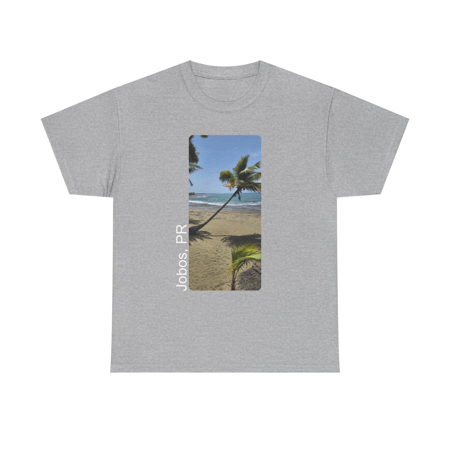 Jobos Palm Tree
