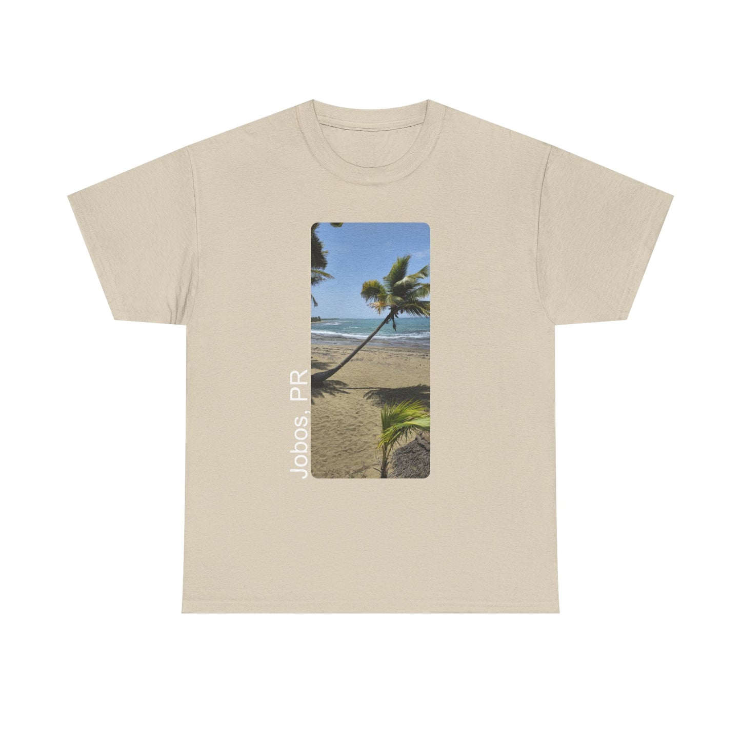 Jobos Palm Tree