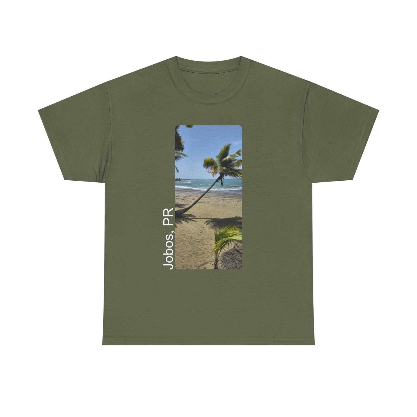 Jobos Palm Tree