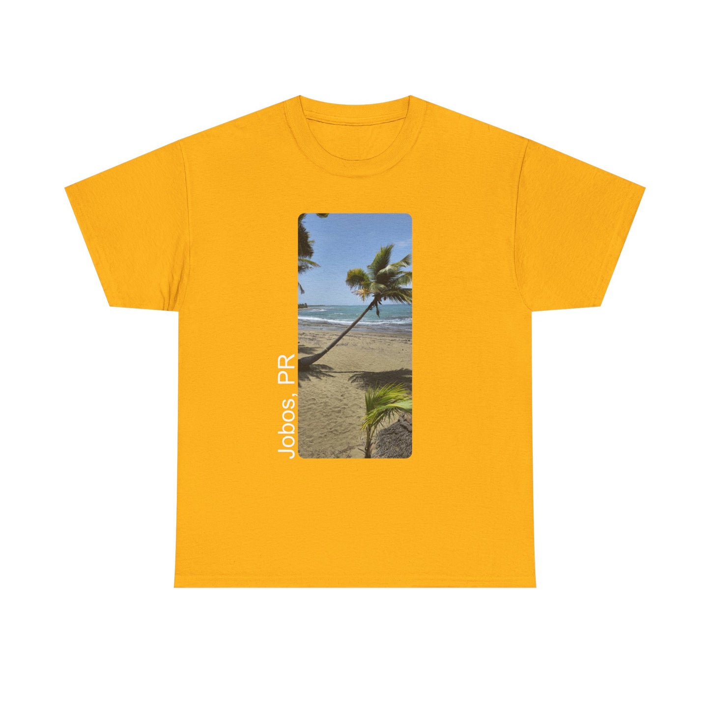 Jobos Palm Tree