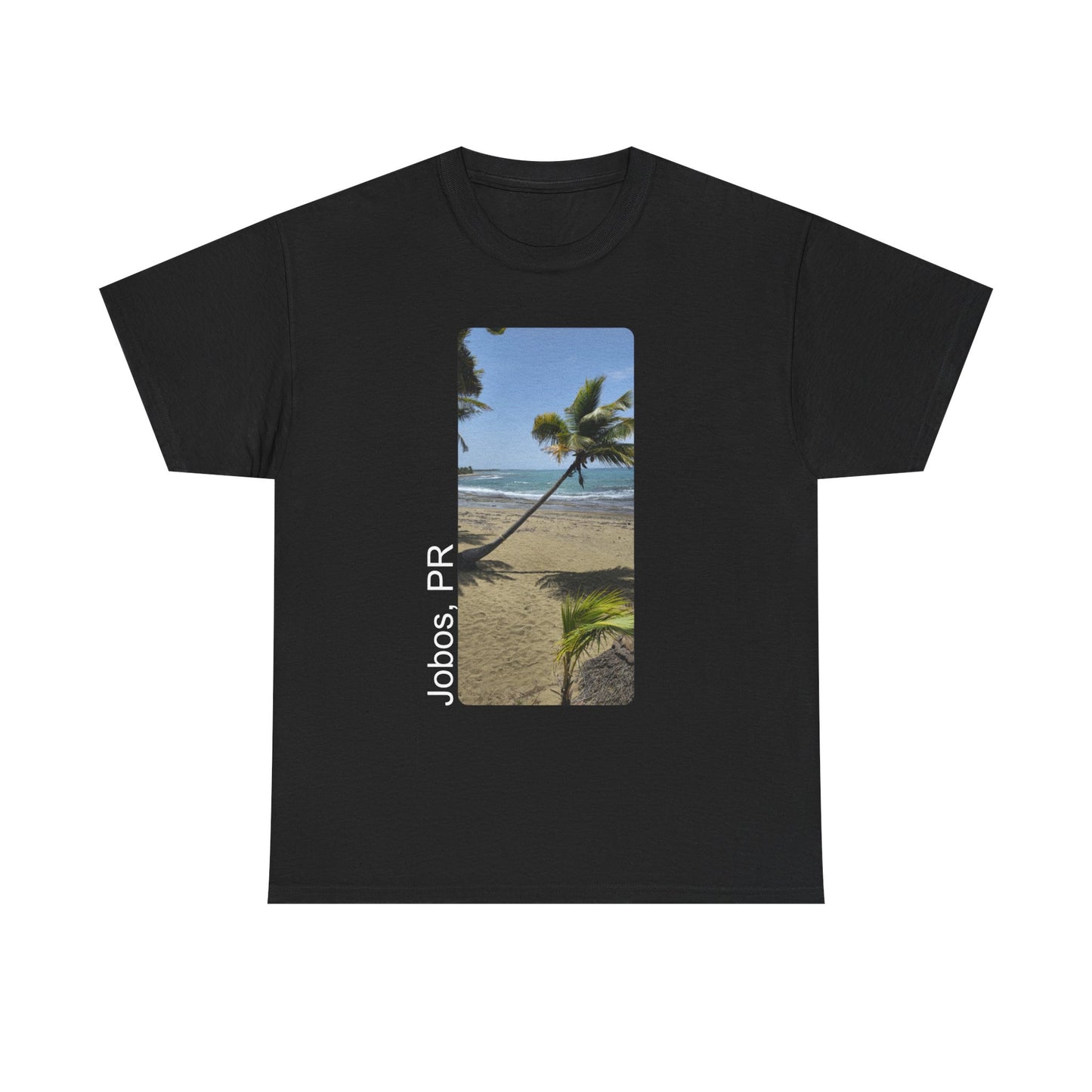 Jobos Palm Tree